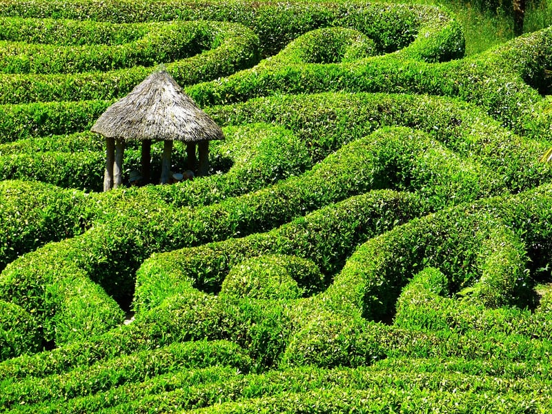 Mystic Maze